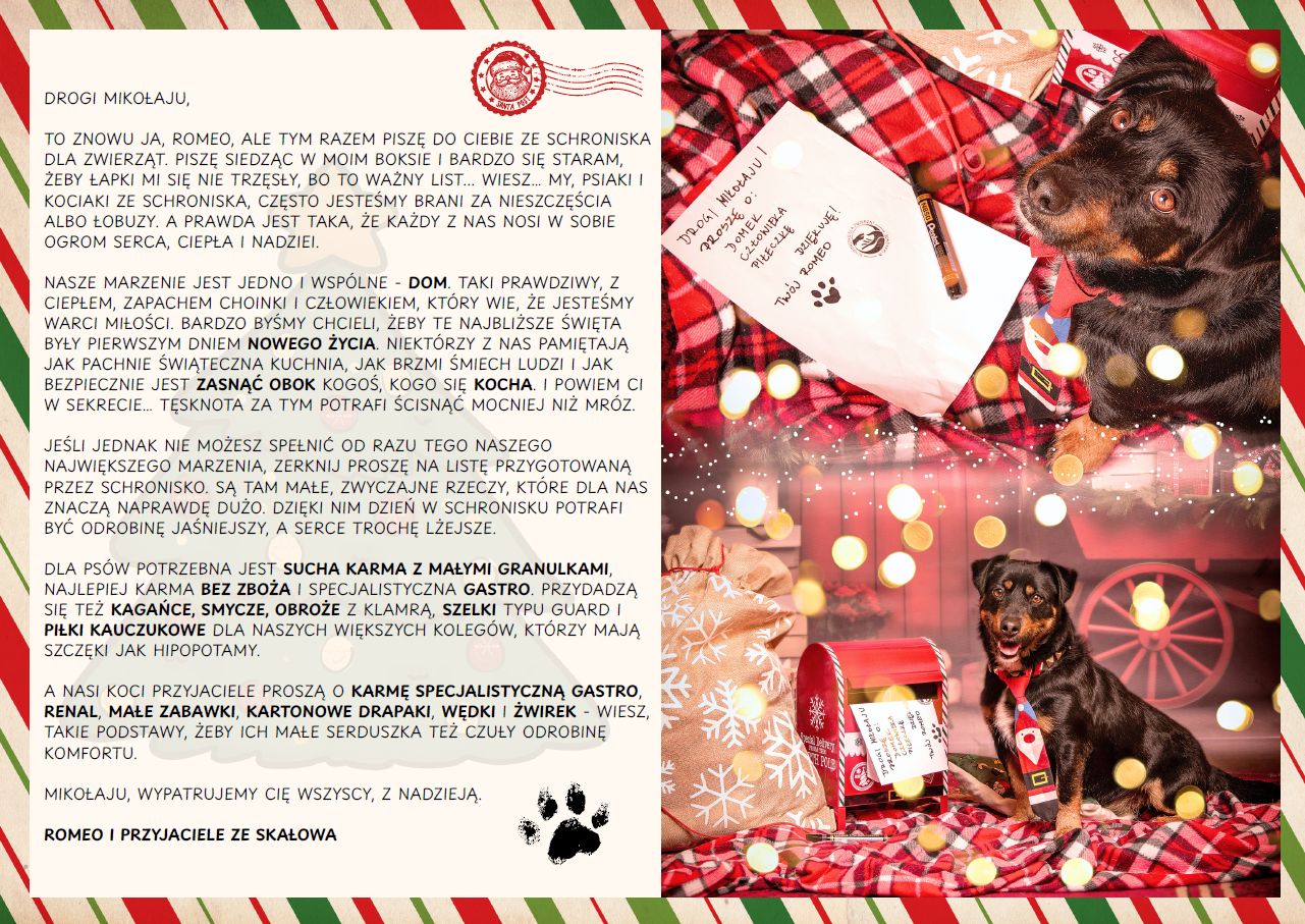 Aktualne potrzeby Schroniska dla Zwierząt w Skałowie