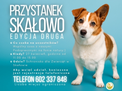 "Przystanek Skałowo" edycja II