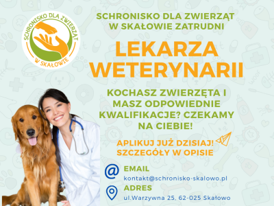 Zatrudnimy Lekarza Weterynarii