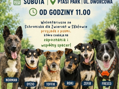 Spotkajmy się podczas Dni Mosiny 2026!