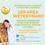 Zatrudnimy Lekarza Weterynarii